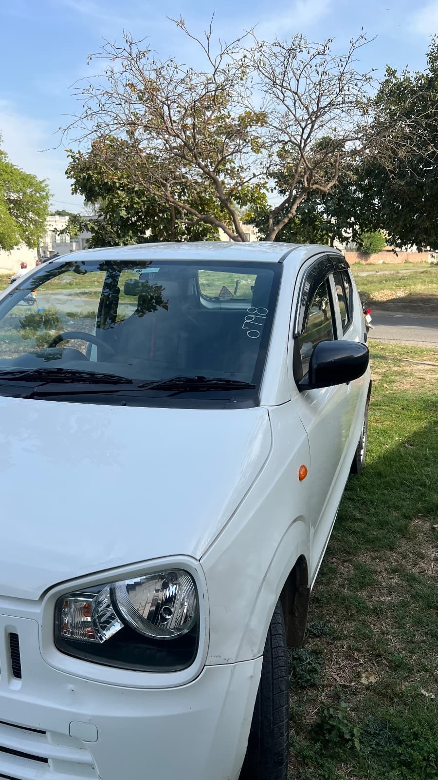 Waleed's Alto